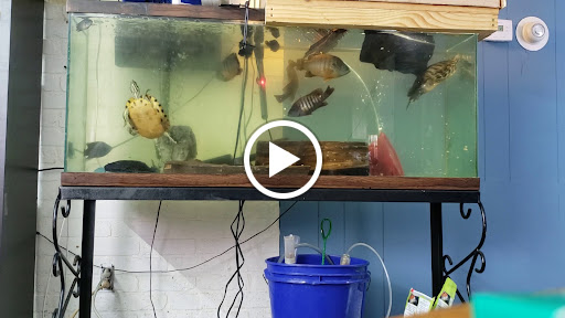 Pet Supply Store «PetSmart», reviews and photos, 4601 Outer Loop, Louisville, KY 40219, USA