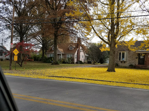 Non-Profit Organization «Community Action of Southern Indiana», reviews and photos