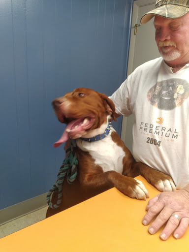 Woolsey Justin DVM image