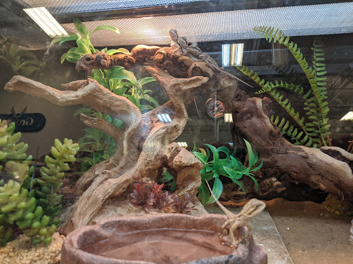 Pet Supply Store «PetSmart», reviews and photos, 3211 Peoples St, Johnson City, TN 37604, USA