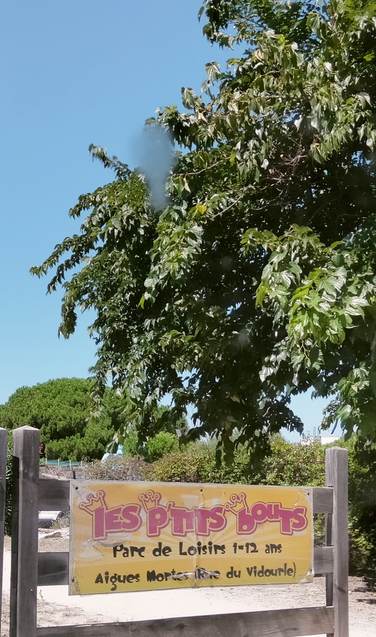 Photo n° 20 de l'avis de Leïla.� fait le 17/08/2023 à 17:01