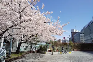 Tsukijigawa Iwaibashi Park image