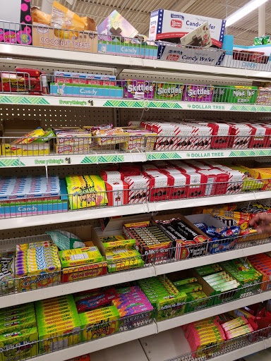 Dollar Store «Dollar Tree», reviews and photos, 950 American Legion Hwy, Boston, MA 02131, USA