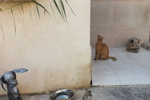 Home Animal Clinic in Eilat image
