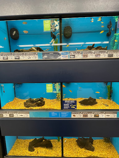 Pet Supply Store «Petco Animal Supplies», reviews and photos, 2635 Bell Rd, Auburn, CA 95603, USA