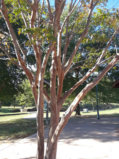 Historical Place «Fort Smith National Historic Site», reviews and photos, 301 Parker Ave, Fort Smith, AR 72901, USA