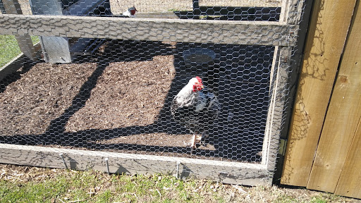 Wedding Venue «Rancho Alegre Farm», reviews and photos, 2225 Givens Rd, Dacula, GA 30019, USA