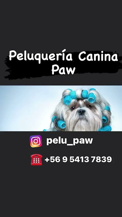 Peluquería Canina Paw