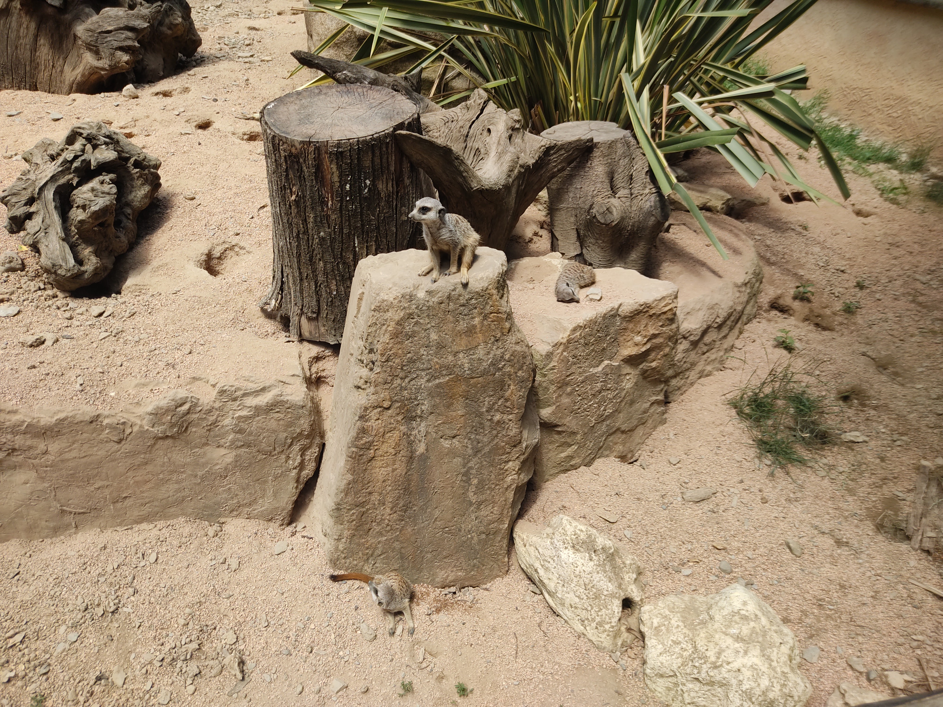 Photo n° 17 de l'avis de David.i fait le 18/11/2019 à 20:29