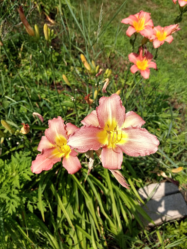 Park «Assabet Park», reviews and photos, 20 Gale St, Northborough, MA 01532, USA