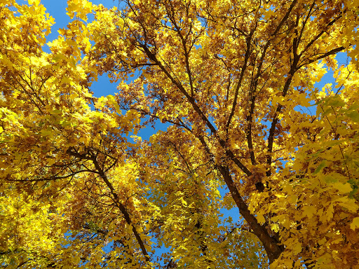Visitor Center «Chamber of Commerce & Visitors Center-Leavenworth», reviews and photos