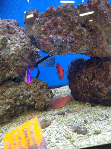 Pet Supply Store «Petco Animal Supplies», reviews and photos, 1220 Commons Cir, Plover, WI 54467, USA