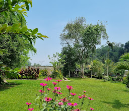 Candi Umbul photo