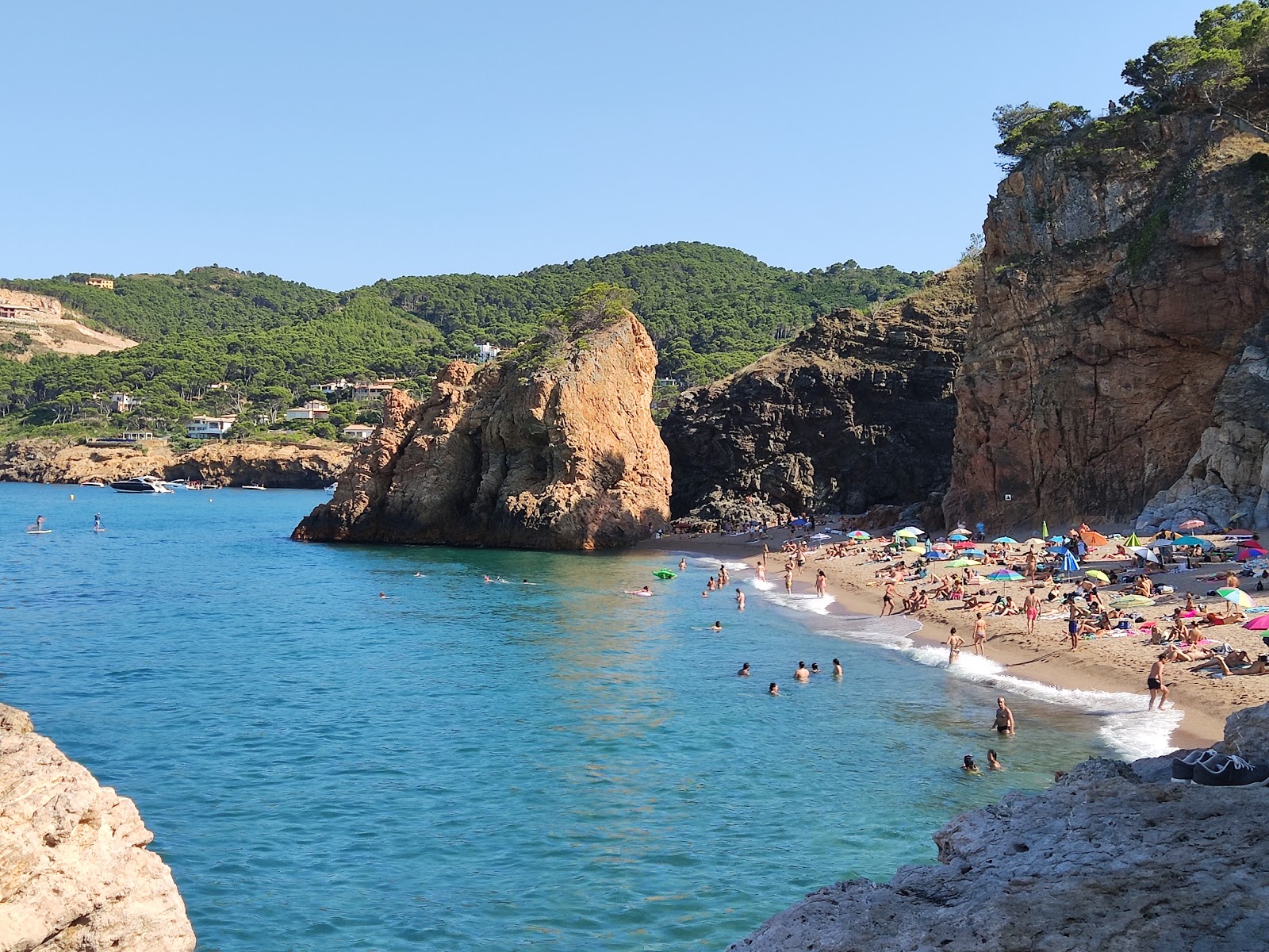 Foto van Platja de l'Illa Roja gelegen in een natuurlijk gebied