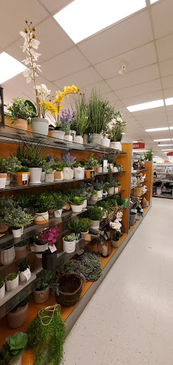 Department Store «T.J. Maxx», reviews and photos, 2711 S Rochester Rd, Rochester Hills, MI 48307, USA