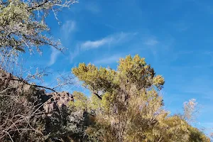 West Walker River image