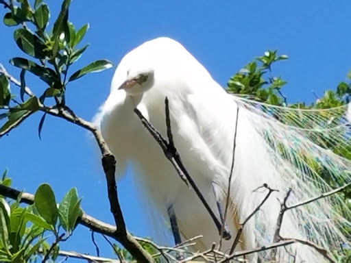 Zoo «St. Augustine Alligator Farm Zoological Park», reviews and photos, 999 Anastasia Blvd, St Augustine, FL 32080, USA