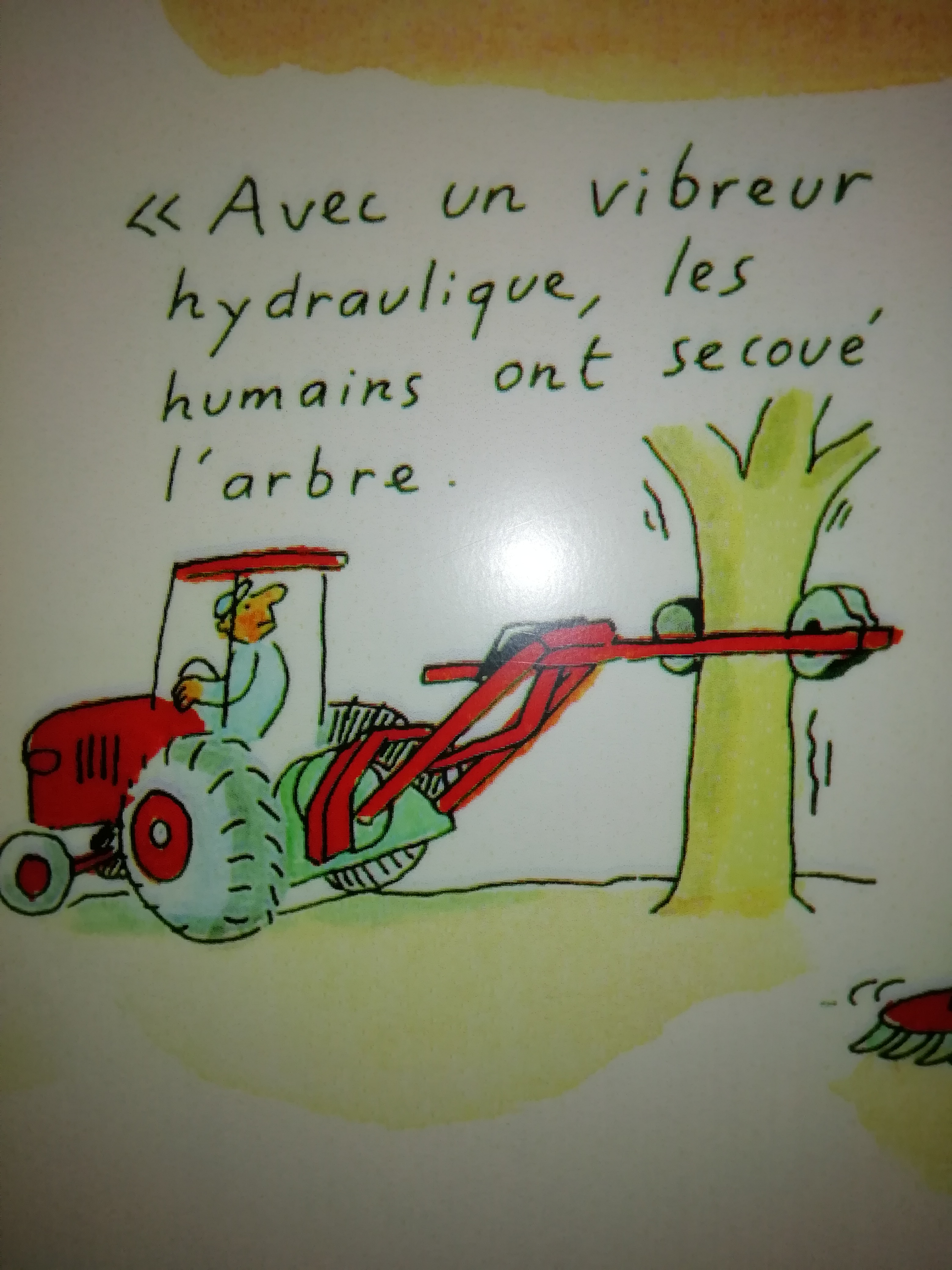 Photo n° 6 de l'avis de Laure.a fait le 16/10/2019 à 07:27