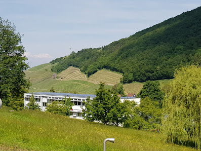 Rene-Schickele-Schule Weilertalstraße 46, 79410 Badenweiler, Deutschland