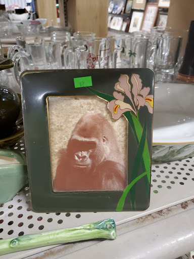 Thrift Store «Habitat For Humanity Langhorne ReStore», reviews and photos