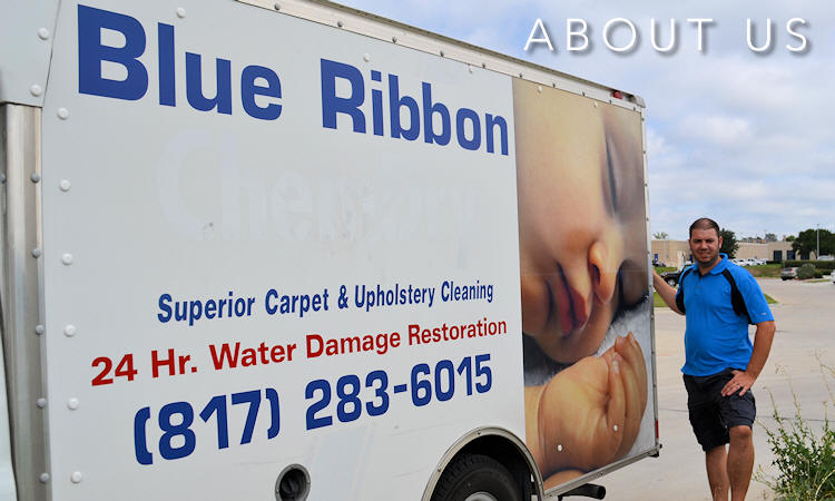 Blue Ribbon Carpet Cleaning