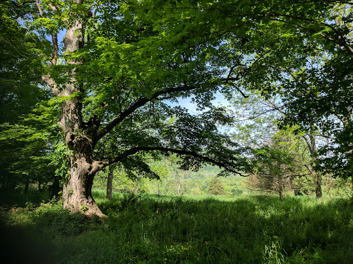 State Park «Goosepond Mountain State Park», reviews and photos, 1198 New York 17M, Chester, NY 10918, USA