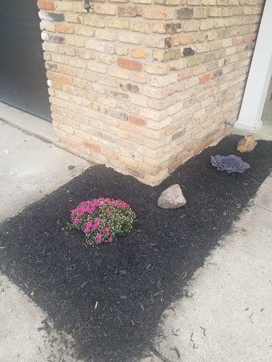 Pet Supply Store «Better Buys», reviews and photos, 3622 N Broadway Ave, Muncie, IN 47303, USA