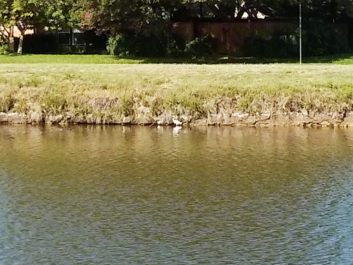 Park «Big Lake Park», reviews and photos, 3800 Rainier Rd, Plano, TX 75023, USA