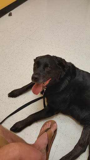 Pet Supply Store «PetSmart», reviews and photos, 88 Shops at 5 Way, Plymouth, MA 02360, USA