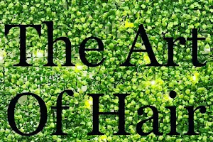 The Art Of Hair image