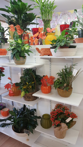 Florist «North End Florist», reviews and photos, 403 N Charlotte St, Pottstown, PA 19464, USA