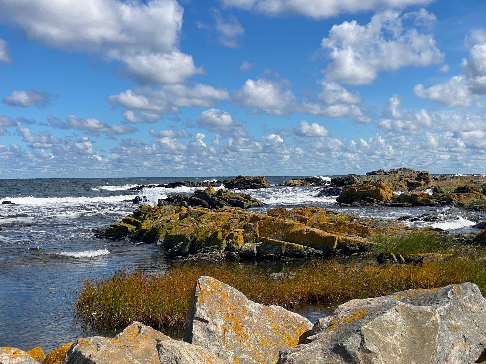 Bolshavn Havn Beach photo #7
