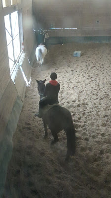 Centre Equestre à Sarre-Union