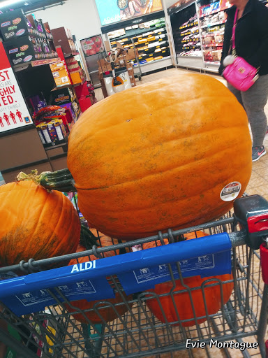 Supermarket «ALDI», reviews and photos, 1645 E Kearney St, Springfield, MO 65803, USA