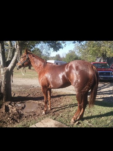 Wedding Venue «THE SPRINGS Event Venue», reviews and photos, 7479 W Simpson Rd, Edmond, OK 73025, USA