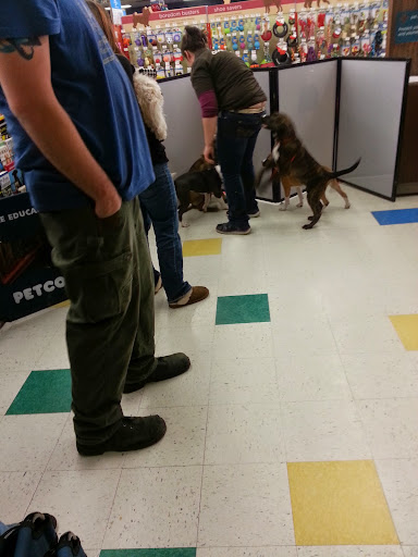 Pet Supply Store «Petco Animal Supplies», reviews and photos, 848 N Colony Rd c, Wallingford, CT 06492, USA