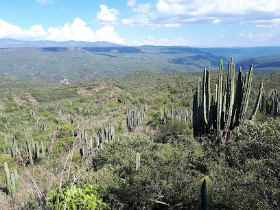 Reserva de la Biosfera Barranca de Metztitlán