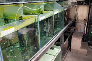 Rasah Aquarium image