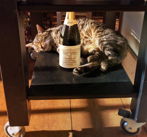 Vineyard «Three Sisters Vineyards & Winery», reviews and photos, 439 Vineyard Way, Dahlonega, GA 30533, USA