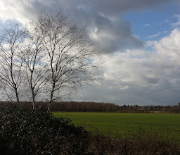 Park am Vogelwäldchen photo
