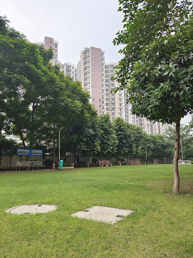 Google Maps image 20