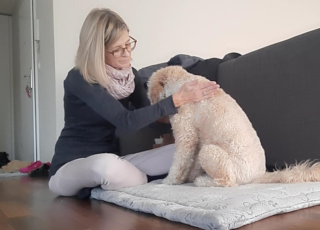 Rezensionen über ETCK Energetische Tiertherapien Corinne Kuss in Uster - Tierarzt