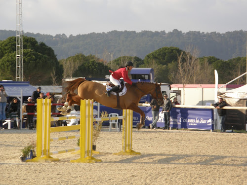 Domaine Equestre des Grands Pins à Vidauban