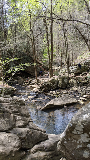 Tourist Attraction «Ozone Falls», reviews and photos, 14563 TN-1, Rockwood, TN 37854, USA