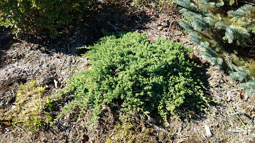 Non-Profit Organization «Samaritans Purse», reviews and photos