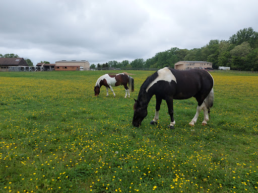 Tourist Attraction «The Underground Railroad Experience Trail», reviews and photos, 16501 Norwood Rd, Sandy Spring, MD 20860, USA