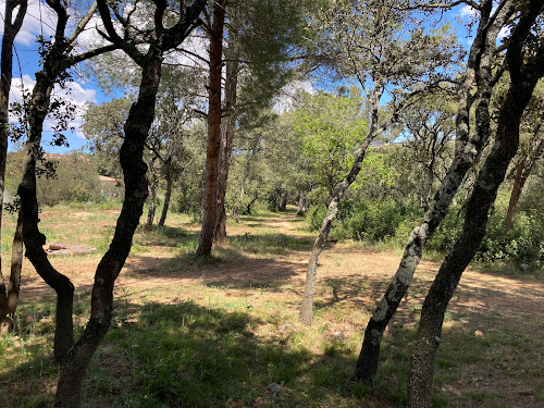 Forêt des lapins à Vers-Pont-du-Gard