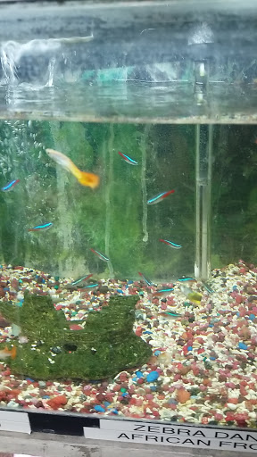 Animal Feed Store «Farmers Feed & Pet Supply», reviews and photos, 1302 E Miner Ave, Stockton, CA 95205, USA