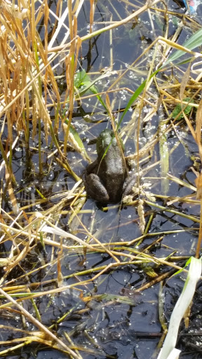 Nature Preserve «Hawthorne Hill Nature Center», reviews and photos, 28 Brookside Dr, Elgin, IL 60123, USA