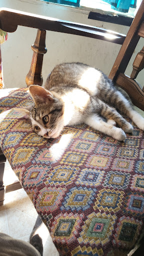 Shopping Mall «Feather Down Shopping Center», reviews and photos, 1258 Stabler Ln, Yuba City, CA 95993, USA